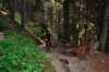 dsc_0329_small.jpg