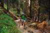 dsc_0380_small.jpg