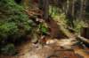 dsc_0500_small.jpg
