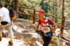 dsc_0881_small.jpg
