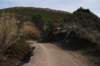 dsc_2338_small.jpg