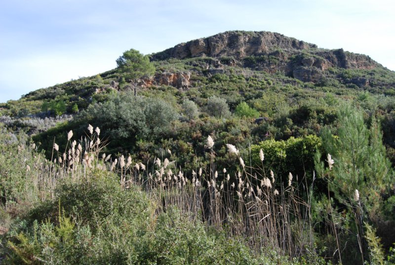 dsc_2359.jpg