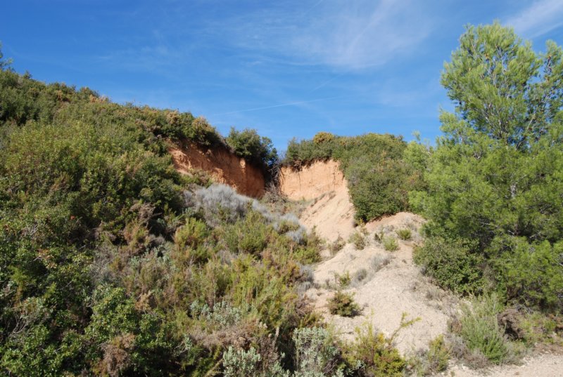 dsc_2363.jpg