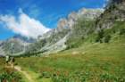 dsc_0248_small.jpg