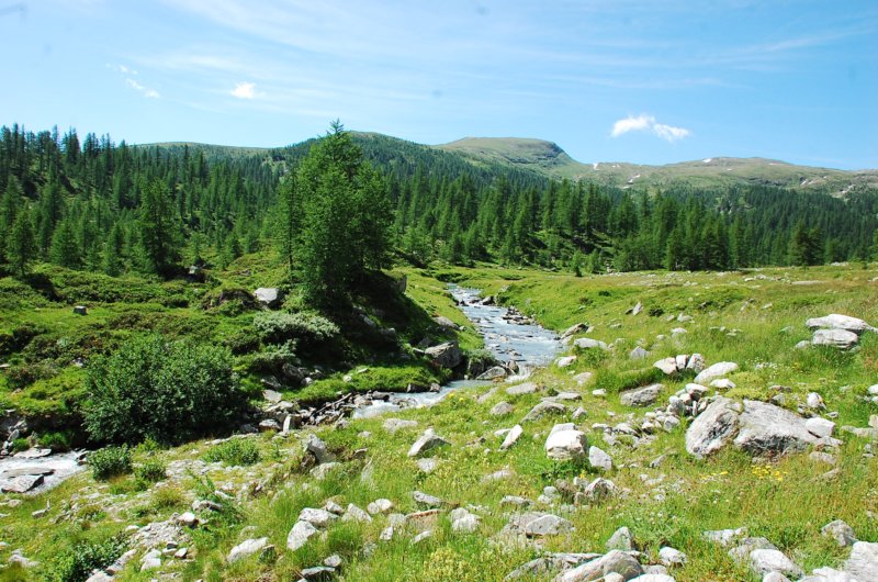 dsc_0257.jpg