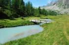 dsc_0261_small.jpg