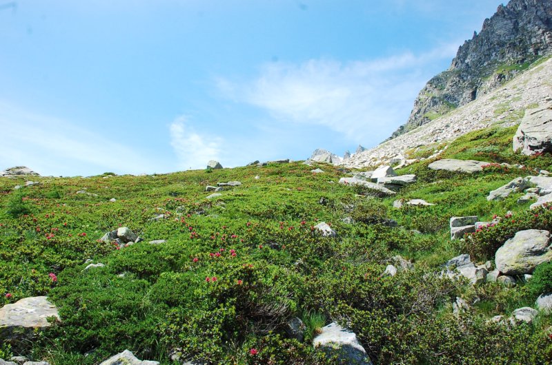 dsc_0293.jpg