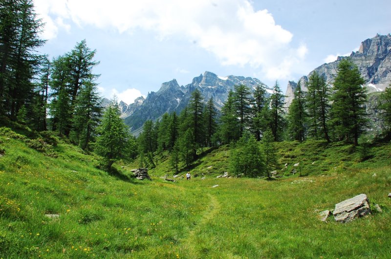 dsc_0307.jpg