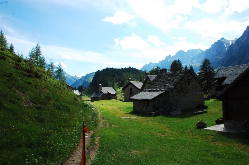 dsc_0313.jpg