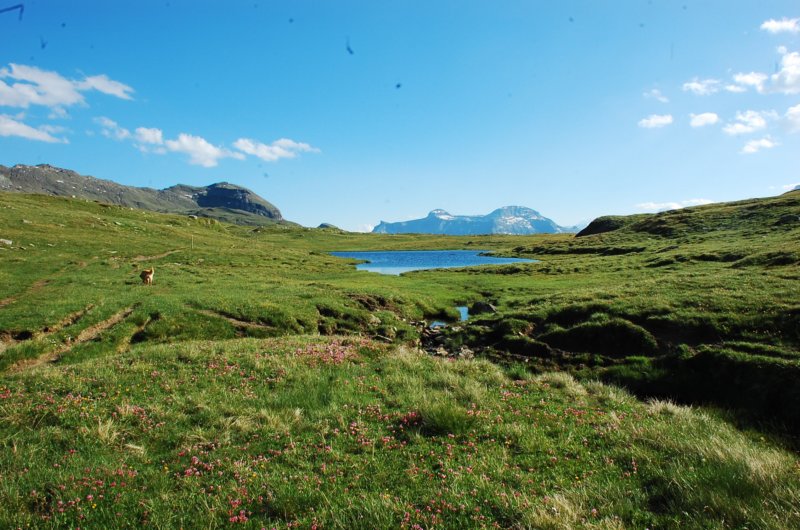 dsc_0416.jpg