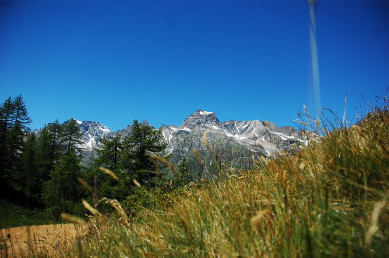 avventuracontinuaguardaalbum3fotopercorso.jpg