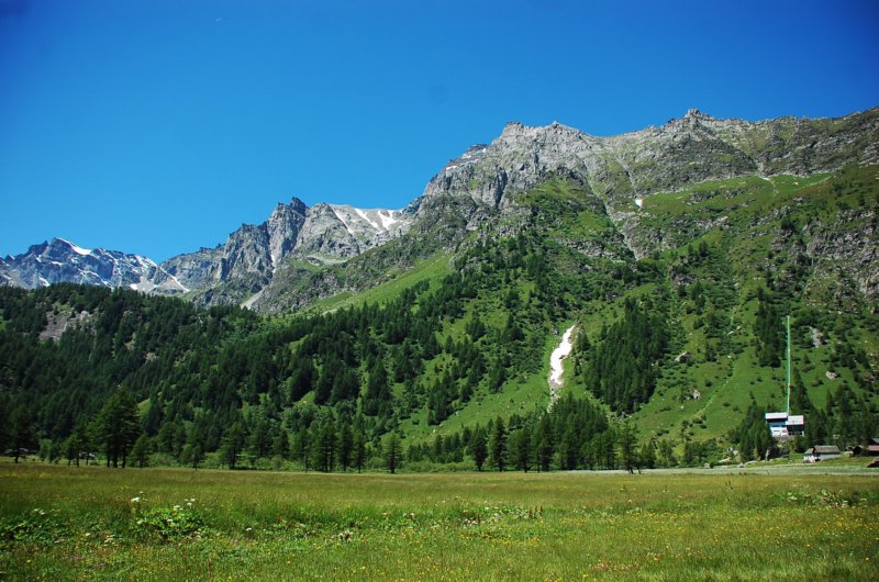 dsc_0251.jpg