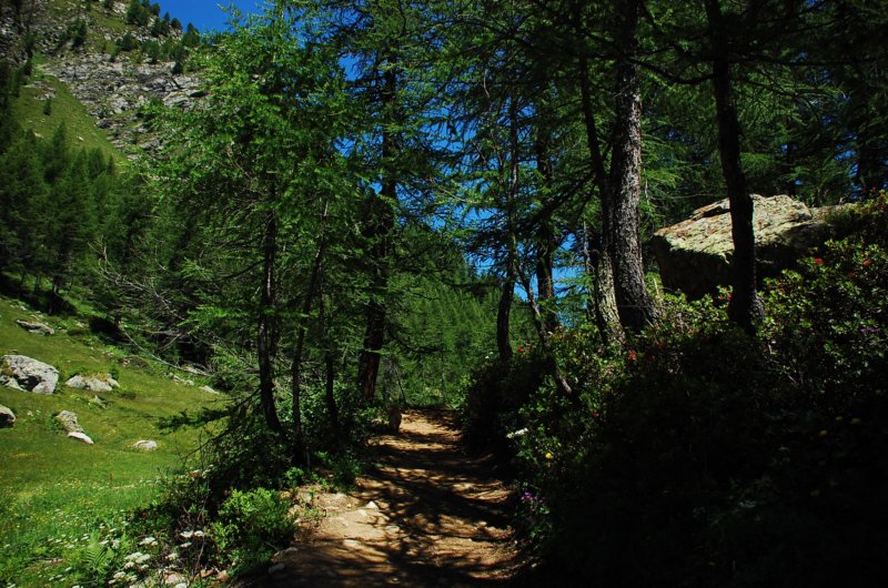dsc_0328.jpg