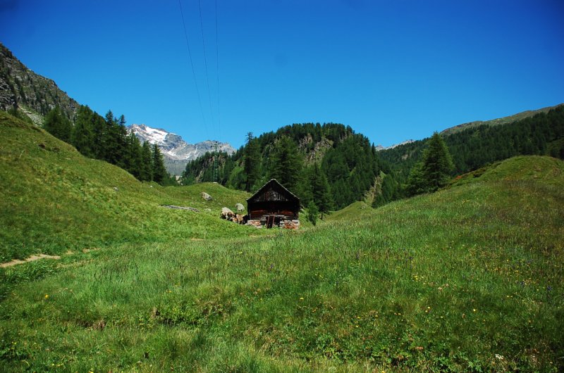 dsc_0340.jpg