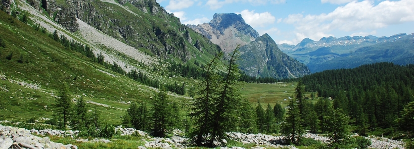 Alpe Devero Ultra Trail Devero panoramica
