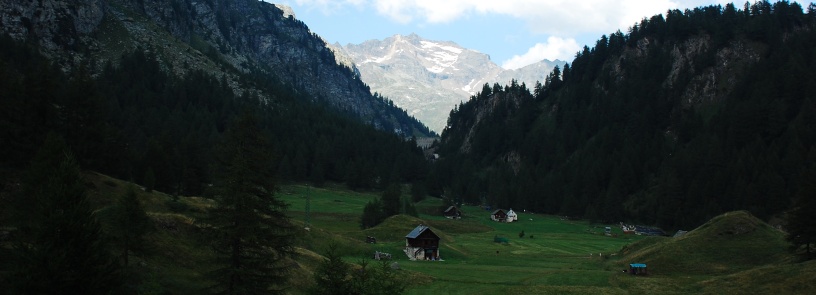 Alpe Devero Trail