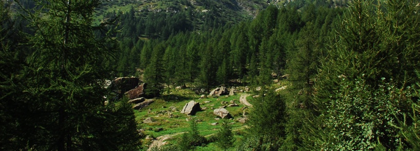 Alpe Devero