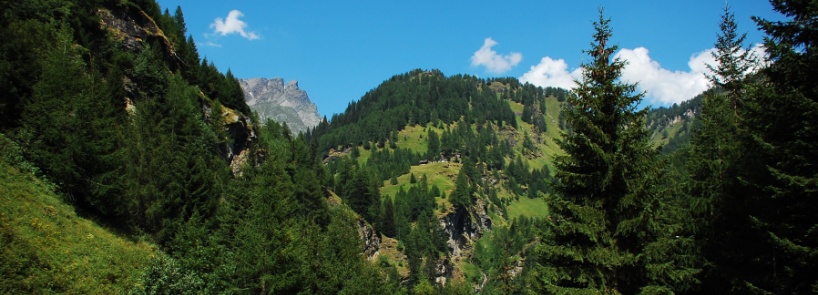panorama