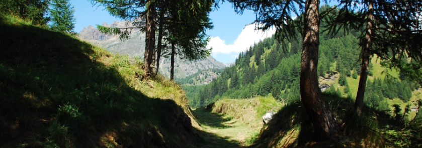 Alpe Devero