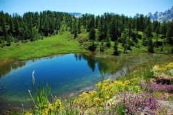 Foto Percorso Alpe Devero Trail
