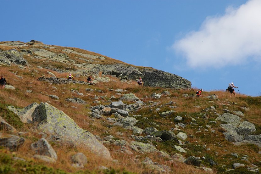 TDG_2012_1330