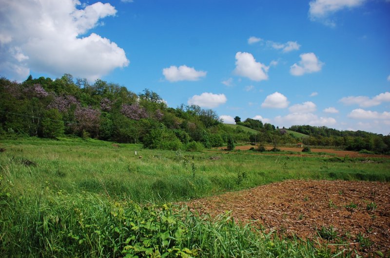 monteregioecotrailcollinenovaresi.jpg