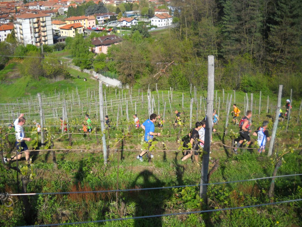 immagine2195.jpg