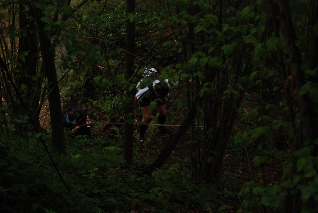 dsc_4110.jpg