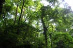 Monteregio Eco Trail