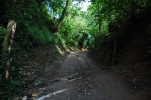 Monteregio Eco Trail