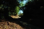 Monteregio Eco Trail