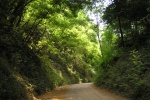 Monteregio Eco Trail