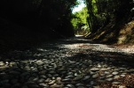 Sentieri di Monteregio Eco Trail