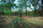 dsc_0178_small.jpg
