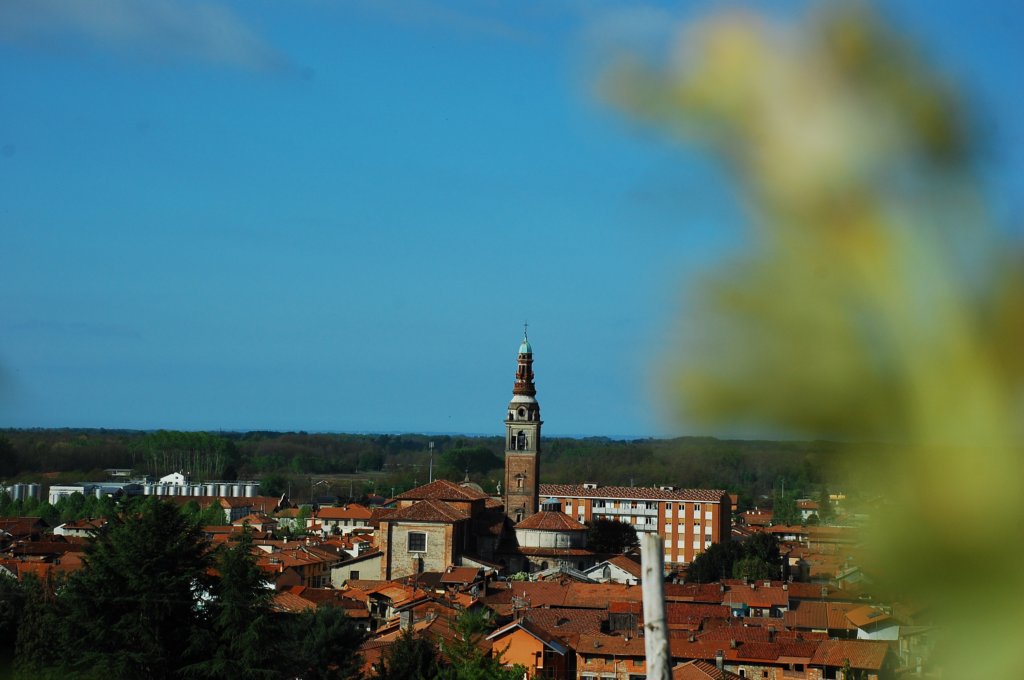 dsc_0308.jpg