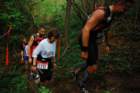 dsc_0040_small.jpg