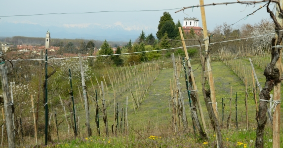 Monteregio Trail Colline Novaresi