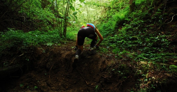 Monteregio Trail