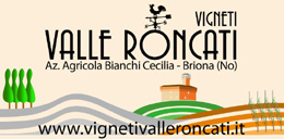 Vigneti Valle Roncati- Briona