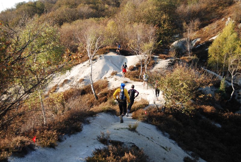 dsc_0816.jpg