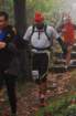 dsc_0211_small.jpg