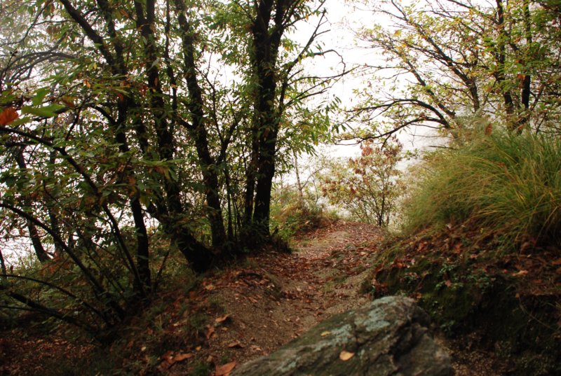 dsc_2405.jpg