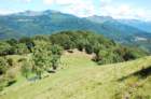 dsc_0168_small.jpg