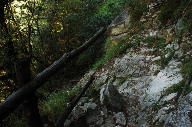 dsc_0237.jpg