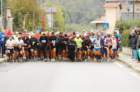 dsc_0036_small.jpg