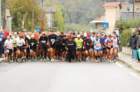 dsc_0037_small.jpg