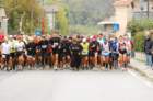dsc_0038_small.jpg