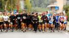 dsc_0039_small.jpg