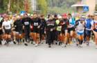 dsc_0041_small.jpg