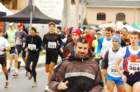 dsc_0048_small.jpg